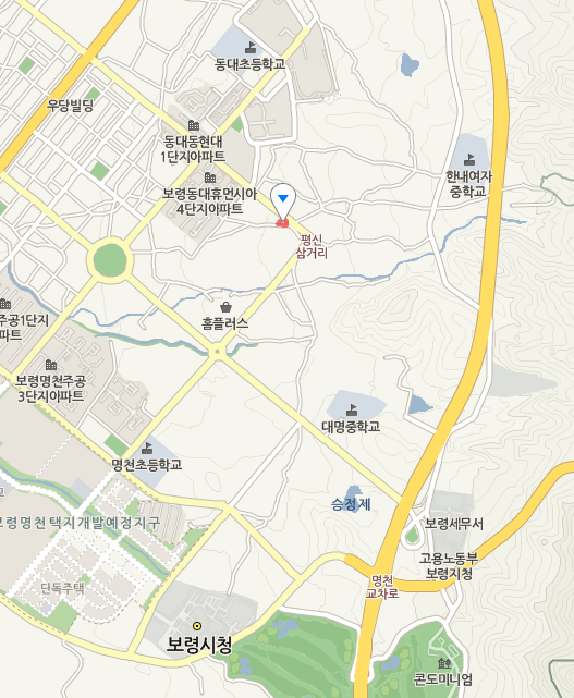 전복 소꼬리전골(삼꼬리전골) 맛집 보령 