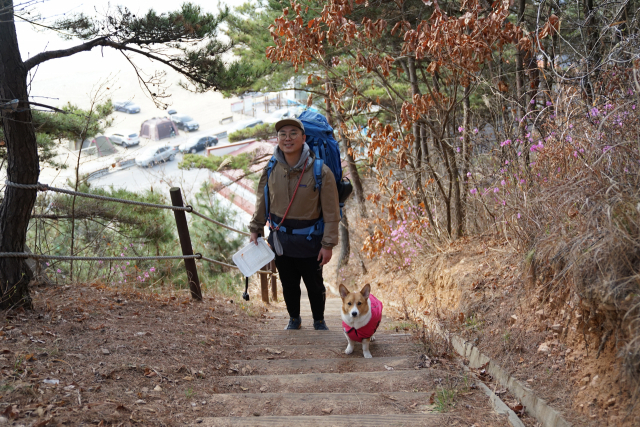 아빠와 하는 등산이 제일 즐겁다는 탱자. 독자 서익진씨 제공