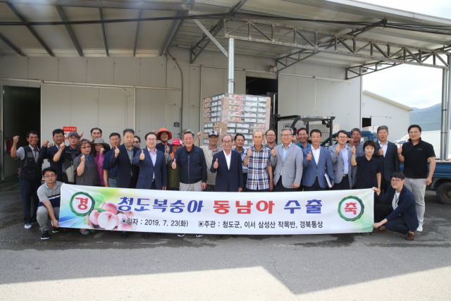 청도복숭아 동남아 수출