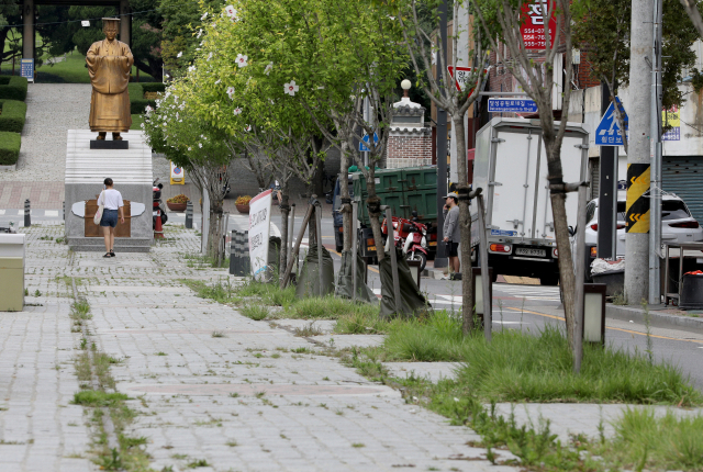 지난 2019년 대구 달성공원 앞 순종황제 어가길에 잡초가 무성히 자라 있는 모습. 매일신문 DB