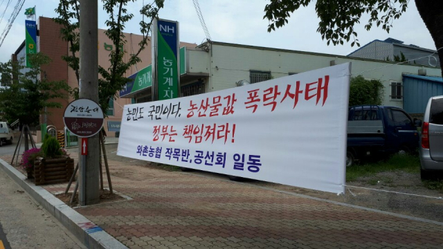 북숭아, 자두 등 여름철 가격이 폭락하자 경북 경산 와촌지역 농민단체가 정부 대책을 촉구하는 현수막을 곳곳에 내걸었다. 와촌농민회 제공