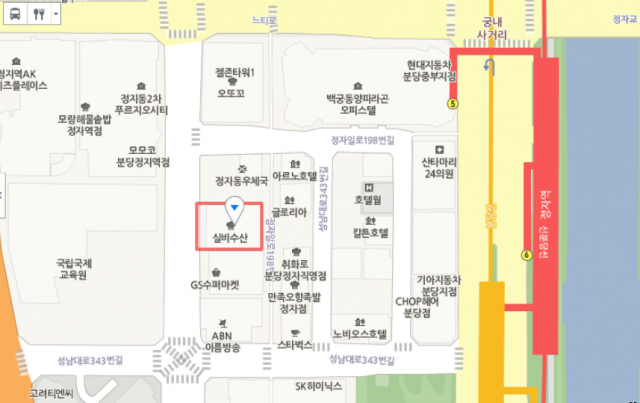 출처: 성남시 분당구 정자동 