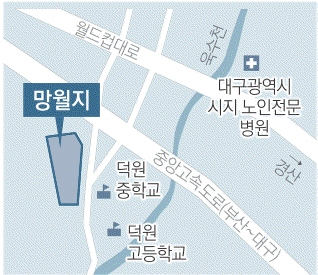 새끼 두꺼비가 망월지 인근 사찰을 거쳐 서식지인 욱수산으로 이동하는 모습. 매일신문 DB.