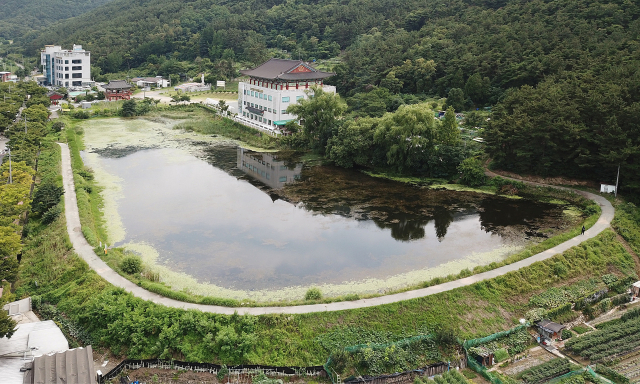 대구 수성구 욱수동 망월지 전경. 매일신문 DB