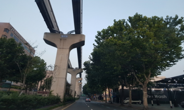 명덕로 인근에 식재된 가로수가 선로에 접근한 모습. 대구안실련 제공.