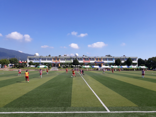 경북 포항시 신광면 광복축구대회에 참가한 선수들이 운동장을 누비며 구슬땀을 흘리고 있다. 신광면사무소 제공