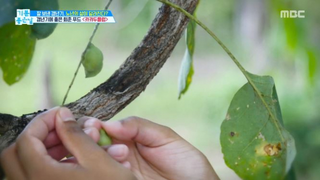 MBC 
