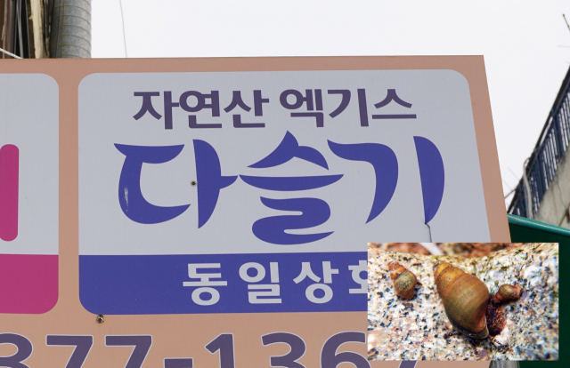 [골목뒷담(後談)28] 맛있는 글씨. 황희진 기자 (사진 오른쪽 하단 