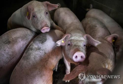 출처: 연합뉴스