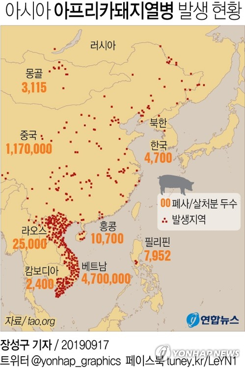 세계 각국의 양돈산업에 치명적인 타격을 입힌 아프리카 돼지열병(ASF)이 결국 국내로 전파됐다. 연합뉴스