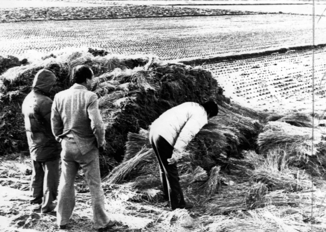 지난 1980년대 전국을 공포로 몰아넣고 우리나라 범죄사상 최악의 미제사건으로 남았던 화성연쇄살인사건의 유력 용의자가 드러났다. 18일 경기남부지방경찰청은 이 사건의 유력한 용의자로 현재 수감 중인 A 씨를 특정했다고 밝혔다. 사진은 1987년 1월 5차 사건 현장인 화성 황계리 현장을 경찰이 살펴보고 있다. 연합뉴스