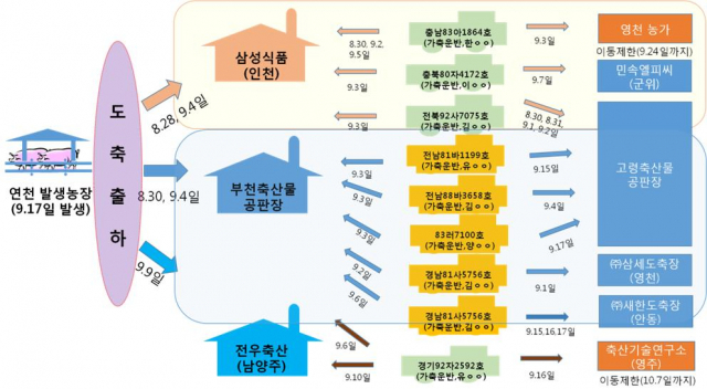 경기 연천(2차발생) 관련 역학 모식도(정정). 경북도 제공