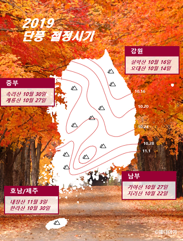2019년 주요 산 단풍 절정기. 웨더아이 홈페이지