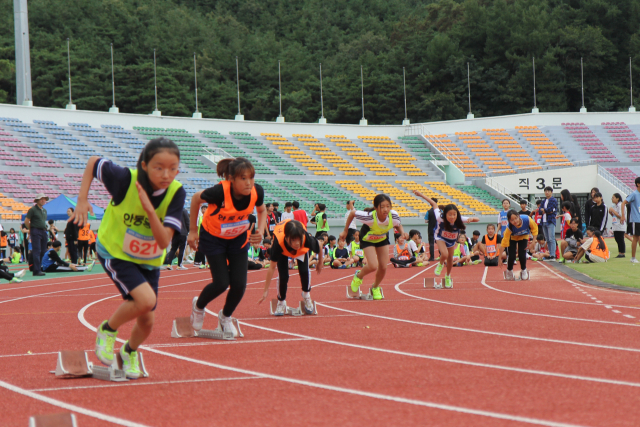 경북 안동교육장기 학교대항 육상경기대회가 열린 가운데 선수들이 힘차게 출발하고 있다. 안동교육지원청 제공