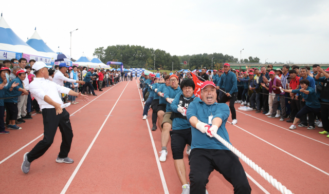 제50회 경북 성주군민체육대회 읍·면대항 줄다리기 결승전에서 초전면 선수들이 안간힘을 쓰고 있다. 성주군 제공