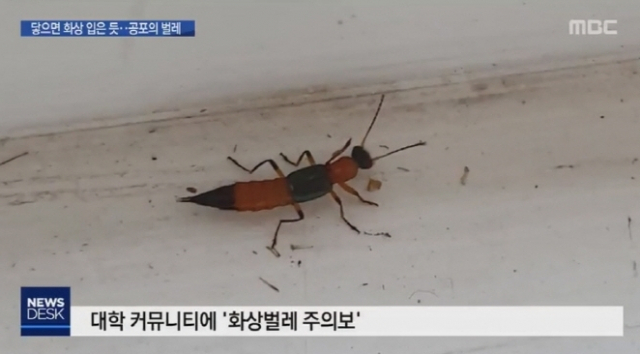 출처: MBC 화면 캡처