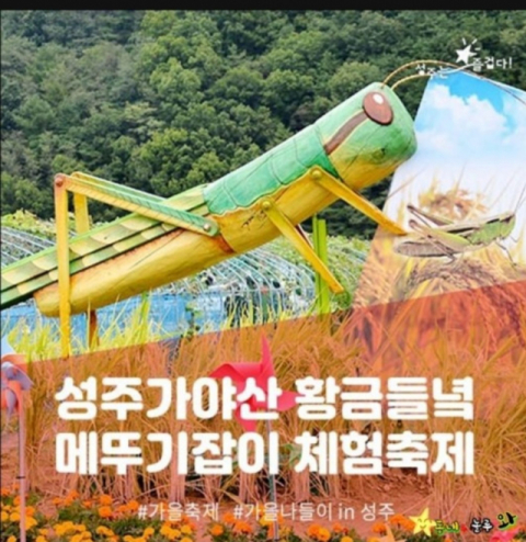 성주가야산 황금들녘 메뚜기잡이 체험축제장 입구에 설치된 대형 메뚜기 모형.