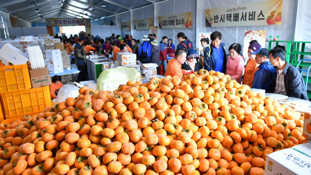 지난해 열린 반시·코아페축제에서 상설로 마련된 감판매장에 관광객들이 몰려들고 있다. 청도군 제공