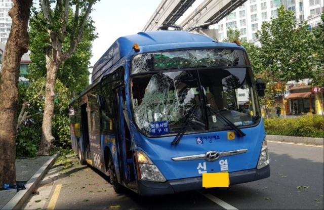 5일 대구 남산동에서 시내버스가 가로수를 들이받는 사고가 일어났다. 대구소방본부제공