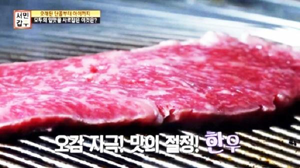 사진. 채널A 
