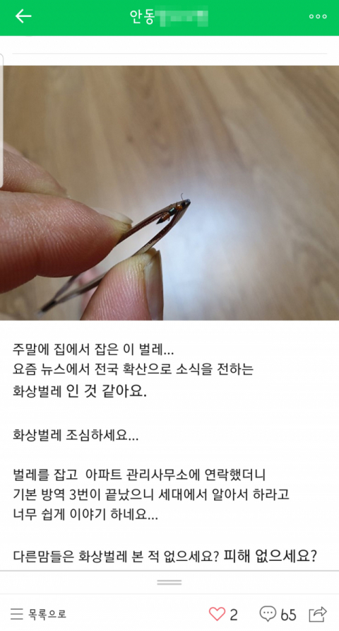 경북 안동지역 아파트 단지 2곳에서 화상벌레가 잇따라 발견돼 주의가 요구되고 있다. 사진은 지역 인터넷 커뮤니티에 게시된 포획된 화상벌레의 모습. 인터넷 캡처