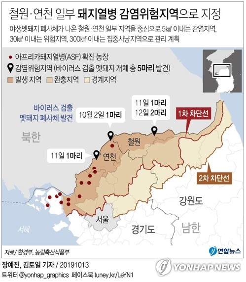 정부는 앞으로 ▲감염위험지역 ▲발생·완충지역 ▲경계지역 ▲차단지역 등 4개의 관리지역으로 나눠 멧돼지를 관리한다. 야생멧돼지 폐사체가 나온 철원·연천 일부 지역은 감염 위험지역으로 지정됐다. 연합뉴스 연합뉴스