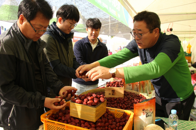 2019 경산 대추축제 대동한마당＆경산예술제가 18~20일 경산생활체육공원 어귀마당에서 열린다. 사진은 지난해 대추축제에서 한 농민이 대추를 판매하고 있는 모습. 매일신문 DB