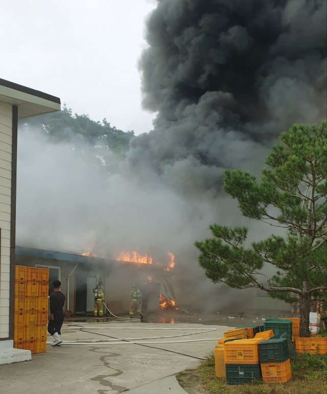 17일 오전 7시 50분쯤 불이 난 경북 청송군 주왕산면 청송사과유통센터. 소방대원들이 출동해 화재 진화에 나서고 있다. 독자제공