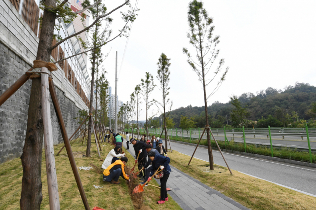 메카세콰이어 길에서 산의날 행사에 참석한 주민들이 목장미를 식재하고 있다. 영주시 제공