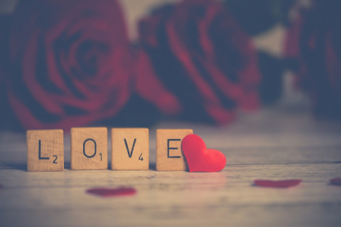 자신에 대한 이해와 사랑이 CEO들의 공통점이 아닐까? 출처: PIXABAY