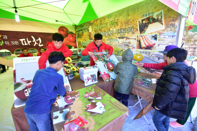 지난해 열린 청송사과축제에서 학생들이 사과퍼즐을 맞추는 모습. 청송군 제공