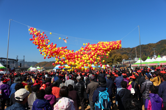 수천 개의 사과 풍선 중 몇 개에는 황금반지가 담겨져 있다. 지난해 청송사과축제 모습. 청송군 제공