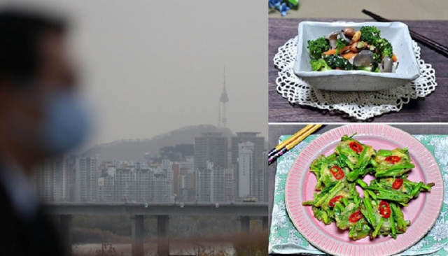 사진. 연합뉴스. 매일신문DB