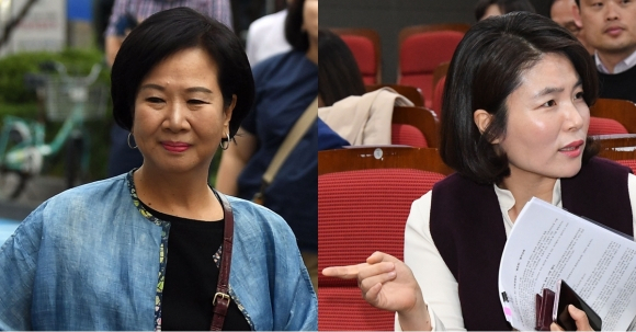 (좌) 손혜원 의원 (우)전희경 의원, 연합뉴스