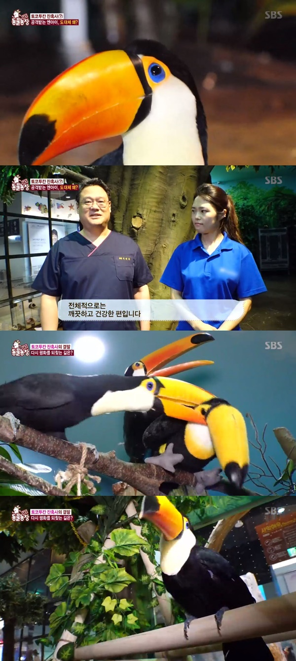 출처: SBS 
