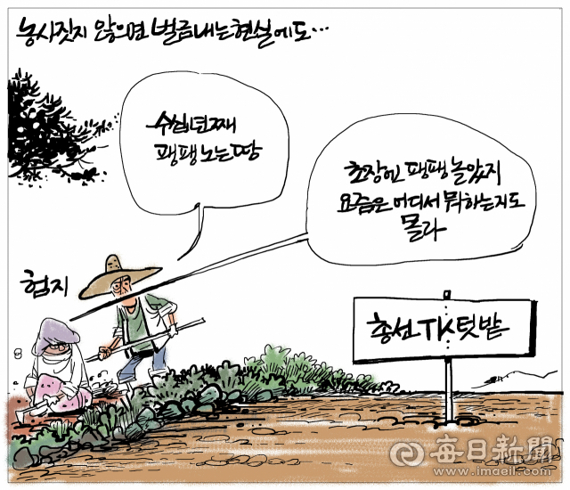 매일희평.김경화백