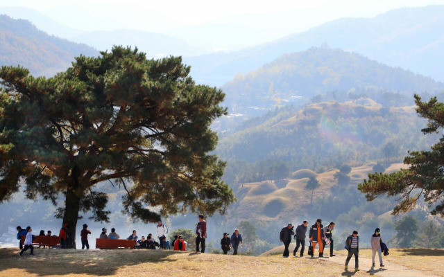 제9회 대가야왕릉길걷기대회가 9일 오전 대가야문화누리잔디광장특설무대에서 열렸다. 참가자들이 지산동고분군 일대를 걷고 있다. 고령군 제공