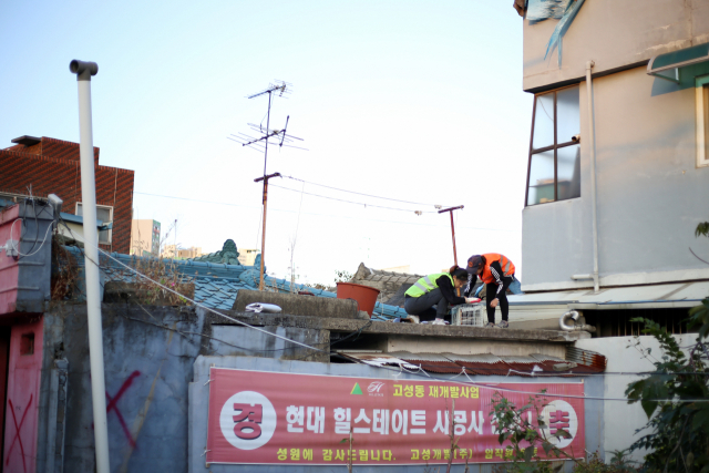 치킨이나 각종 음식을 넣은 포획틀로 고양이를 유인한다. 임소현 기자