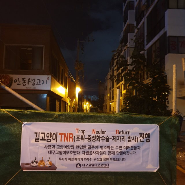 고양이 급식소에는 관리 주체와 연락처가 명시된 안내문이 붙여져 있다. 임소현 기자