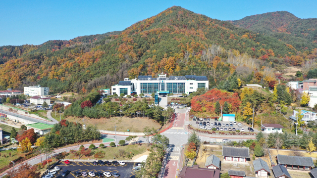 청송군청 전경