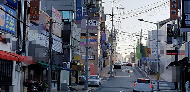 교육부가 지난달 말 