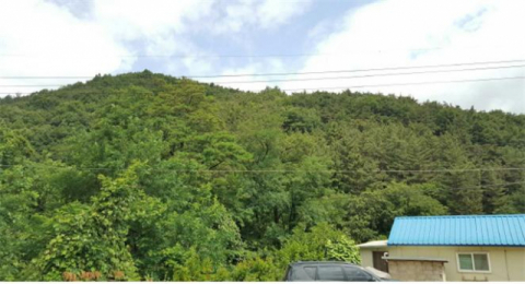 경북 경주시 건천읍 임야