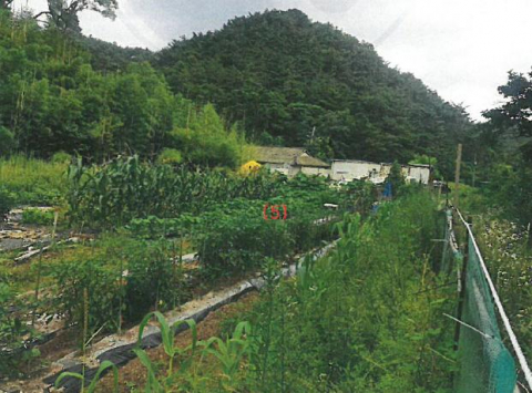 경북 포항시 북구 창포동 밭·대지·임야 등