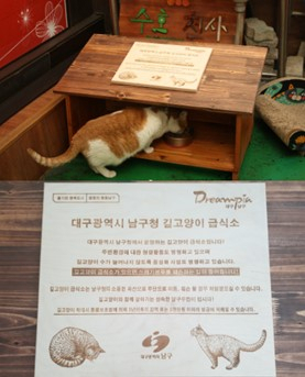 대구시 대명시장에 남구청, 더불어민주당 동물복지위원회, 캣맘이 협력하여 길고양이 급식소가 마련되었다. 지자체가 길고양이 급식소를 지지하는 모범적인 사례이며 캣맘에 대한 시민들의 의식 개선에 큰 도움이 되고 있다. 더불어민주당 제공