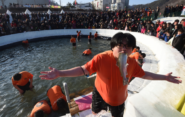 산천어 맨손잡기 행사에 참가한 관광객이 잡은 산천어를 입에물고 기뻐하고 있다.