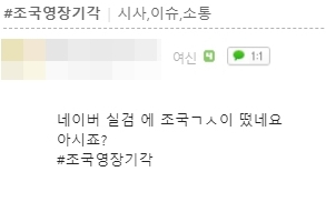 한 온라인 커뮤니티의 실검 총공 독려 게시물 및 댓글들. 네이버 카페