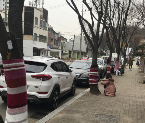 마을공유공간 톡톡 회원들이 가로수에 털실 옷을 입히고 있다.