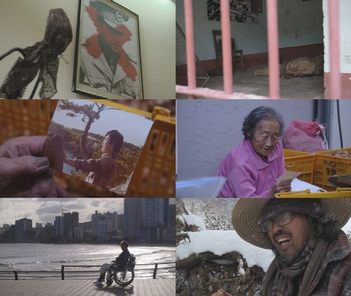 출처: SBS 스페셜