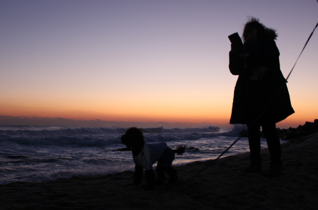 KTX를 타고 반려견과 함께 해돋이를 볼 수 있는 기차여행 상품이 출시됐다. 펫츠고트래블 제공