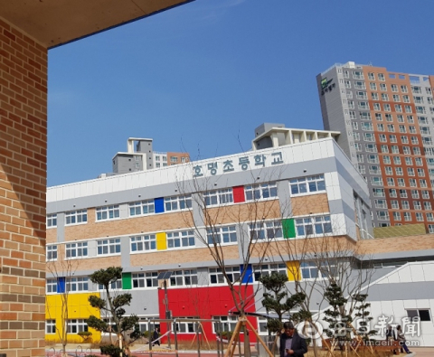지난해 개교한 경북도청 신도시 내 호명초등학교 전경. 윤영민 기자
